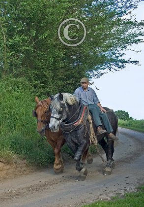 End of the Day DM1194